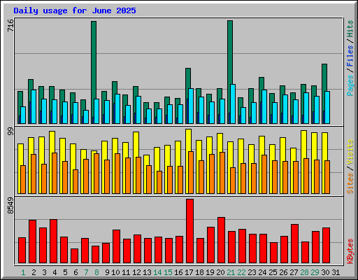 Daily usage for June 2025