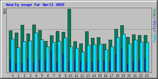 Hourly usage for April 2025