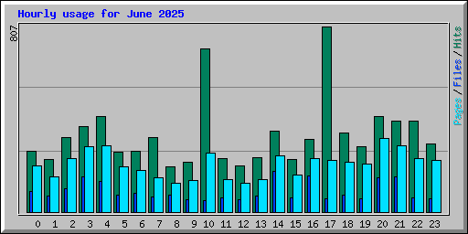 Hourly usage for June 2025