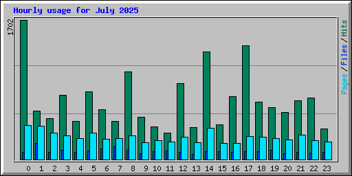 Hourly usage for July 2025