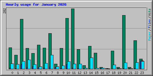 Hourly usage for January 2026